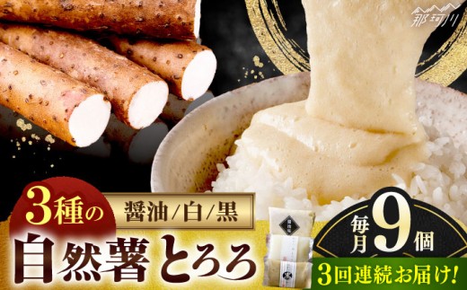 【全3回定期便】那珂川産 自然薯 自然薯 とろろ 味くらべセット 計9個（3種類×3個）＜自然薯王国＞那珂川市 自然薯とろろ とろろ 自然薯 [GAH012] 302137 - 福岡県那珂川市