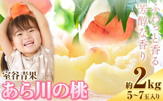 【予約受付】あら川の桃 約2kg 室谷青果《2026年6月下旬-7月中旬頃出荷》和歌山県 紀の川市