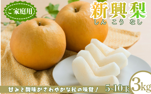 新興梨(家庭用) 3kg「Ys Farm Tottori」【梨 なし ナシ 果物 フルーツ ギフト 先行予約 甘い 果実 果汁 デザート もぎたて 旬】
