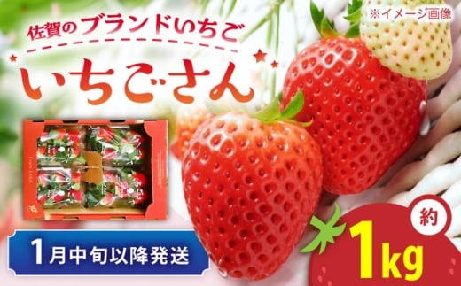 【先行予約 1月中旬以降順次発送】【佐賀のブランドいちご】いちごさん 約1kg（約250g×4p）/中村青果店 [UDK010] 2296019 - 佐賀県武雄市