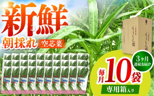 [3回定期便]新鮮朝採れ 空芯菜 計30袋 / 亀山市 / グリーンハウス吉田 [AMCD003]