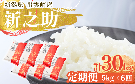 【令和7年産新米】 「新之助」 定期便 5kg 6か月 新潟県産 出雲崎町産 白米 精米 お米 合計30kg 2302672 - 新潟県出雲崎町