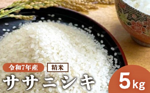 『令和7年産』 宮城県白石市産 ササニシキ 精米 5Kg | 5キロ ５キロ ５ｋｇ お米 米 ササニシキ 白米 精米 宮城米 ふるさと納税 宮城県 白石市 白石【1215502】 689949 - 宮城県白石市