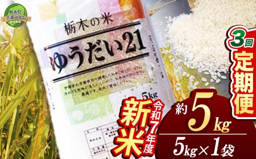 【定期便3回】ゆうだい21 5kg 【栃木県共通返礼品】 | 米 こめ コメ kome 白米 精米 お米 ゆうだい ユウダイ ﾕｳﾀﾞｲ 新米 栃木米 大粒 粘り 甘み お弁当 おにぎり 令和7年度米 令和7年度 2025年度米 2025年度 ブランド米 栃木県 特産品 送料無料 栃木県 下野市 しもつけ市 2297095 - 栃木県下野市