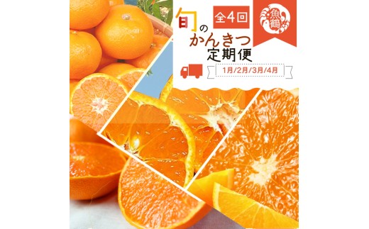 [定期便][1・2・3・4月 全4回]紀州和歌山産旬の柑橘セット(みかん・不知火・せとか・清見)