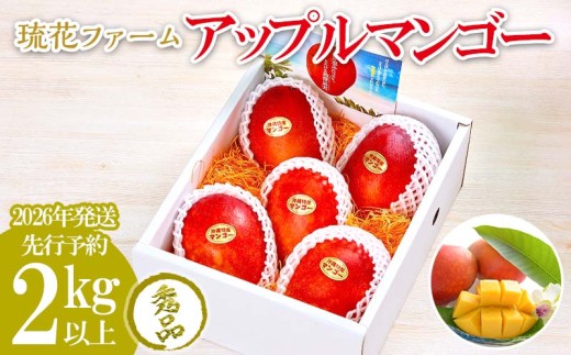 【2026年発送先行予約】アップルマンゴー秀品２kg以上 沖縄 おきなわ まんごー 秀品 贈答用 先行予約 ふるさと納税 送料無料 甘味 糖度 おいしい お土産 アーウィン 果物 くだもの 果実 ２キロ 箱入り 食べ物 フルーツ 809504 - 沖縄県名護市