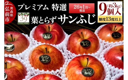 【26年1月～発送】りんご 【 数量限定 】糖度13度以上 「特選」 プレミアム 葉とらずサンふじ 約 3kg 9個入り【レビューキャンペーン】 2292799 - 青森県弘前市
