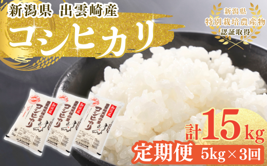【令和7年産新米】 特別栽培米 新潟県産 コシヒカリ 定期便 5kg 3か月 出雲崎町産 「天領の里」 白米 精米 お米 合計15kg　 2302762 - 新潟県出雲崎町