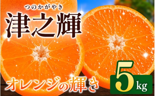 ＼先行予約／ 津の輝（つのかがやき）5kg（2026年2月以降順次発送予定） / みかん 津の輝 柑橘 かんきつ フルーツ 果物 紀州産 和歌山県 田辺市【tcs026】 2280559 - 和歌山県田辺市