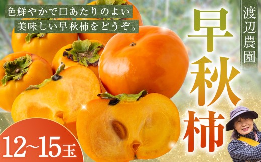 【先行予約】 渡辺農園 早秋柿 12玉から15玉 【2025年9月下旬から10月上旬 出荷予定】 柿 かき カキ 早秋 そうしゅう 果物 くだもの フルーツ 果実 ジューシー お取り寄せ 福岡県 うきは市 252978 - 福岡県うきは市