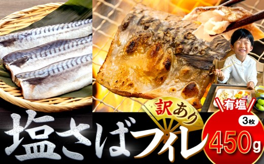 訳あり 塩サバ 約450g 3枚 冷凍 鯖 塩 さば 魚 さかな 海鮮 海産物 おかず サバ 鯖ご飯 おすすめ 人気 さば サバ  鯖 魚 魚介 海鮮 惣菜 塩サバ 塩鯖 焼き鯖 サバ 焼きさば 焼さば 減塩  塩 鯖 さば サバ ギフト おすすめ 人気 ふるさと納税 鯖 サバ さば ふるさと納税さば 愛知県南知多町 南知多 愛知県 愛知県産サバ さば 鯖 南知多町産サバ さば 鯖 塩さば  2034024 - 愛知県南知多町