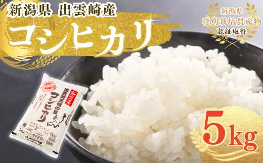  【令和7年産新米】 特別栽培米 コシヒカリ 「天領の里」 5㎏ 新潟県産 出雲崎町産 白米 精米 お米 こしひかり 2302765 - 新潟県出雲崎町