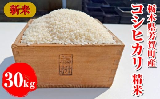 令和7年産新米 栃木県芳賀町産 コシヒカリ 精米 30kg｜米 お米 新米 白米 コメ こめ 国産 産地直送 旬 期間限定 季節限定 送料無料 ※2025年9月下旬頃～2026年1月下旬頃に順次発送予定 2291291 - 栃木県芳賀町