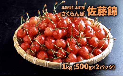 先行受付 北海道 仁木町産 さくらんぼ 佐藤錦 1kg(500g×2パック) 旬の果物 産地直送 旬のフルーツ サクランボ チェリー フルーツ 果物 果物類 仁木町 仁木 [JA新おたる]