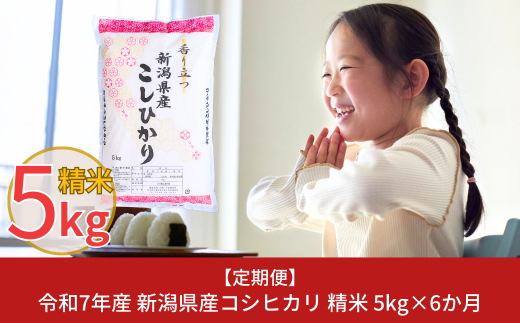 新米 先行予約 [定期便5kg×6か月] 令和7年産 新潟県産コシヒカリ 計30kg こしひかり 6か月連続でお届け [株式会社白熊]【038S006】 1001791 - 新潟県三条市