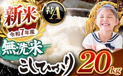栃木県産コシヒカリ 無洗米 20kg 【栃木県共通返礼品】 | お米 米 こめ 洗米 新米 無洗米 コシヒカリ こしひかり 美味しい お弁当 選べる ふるさと 納税 栃木県 矢板市 2223079 - 栃木県矢板市