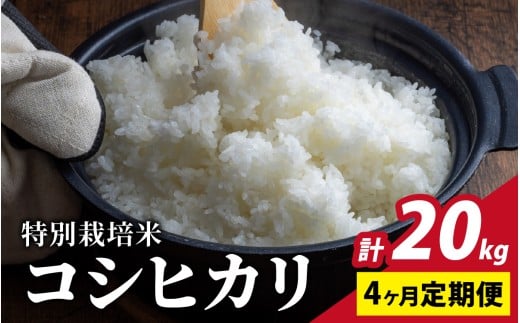 [令和7年産 新米][4ヶ月定期便]福井県認証の特別栽培米 コシヒカリ 5kg×4回[10月より順次発送]