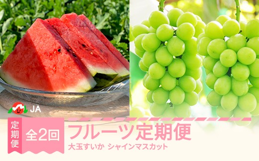 【先行予約】フルーツ定期便 全2回 大玉すいか シャインマスカット 2026年産 令和8年産 ※沖縄・離島への配送不可 ja-ft2ss-b 2297423 - 山形県村山市