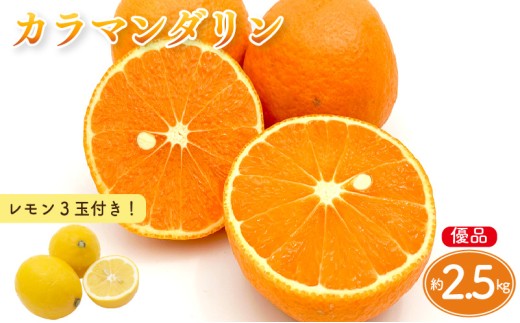 [先行予約]カラマンダリン 家庭用(優品) 約2.5kg & 瀬戸内海の島レモン 3玉 セット | 柑橘 レモン みかん 蜜柑 mikan 檸檬 オレンジ かんきつ セット[2026年3月下旬頃から発送予定] 瀬戸内海 愛媛県 松山市 ココオ Koko'o