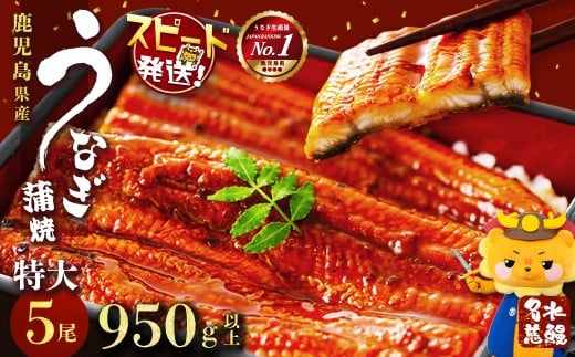 鹿児島県産うなぎ蒲焼 名水慈鰻 特大5尾(1尾190g以上)＜計950g以上＞ うなぎ 鰻 ウナギ 5尾 国産 九州産 蒲焼き かばやき 冷凍 うな重 ひつまぶし タレ 山椒 ランキング 人気 c5-035 425284 - 鹿児島県志布志市