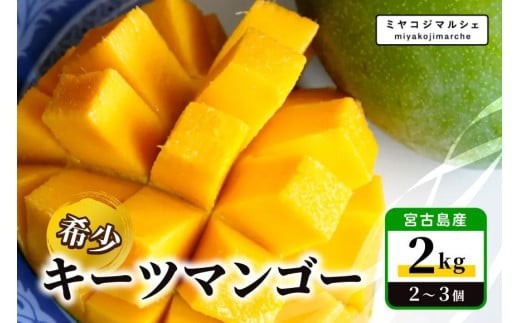 《先行予約 2026年発送》宮古島産 希少 キーツマンゴー2kg【(株)フラモン】(JH014) 1923478 - 沖縄県宮古島市