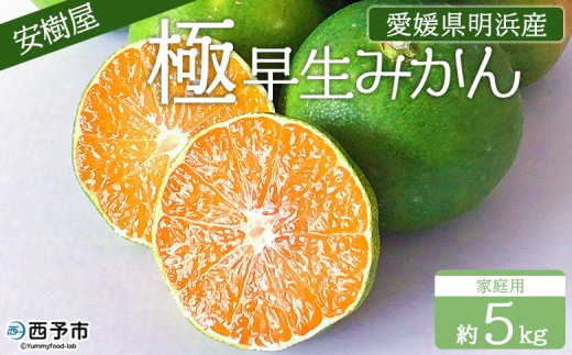 ＜安樹屋 愛媛県明浜産 極早生みかん 約5kg（家庭用）＞ 柑橘 みかん ミカン 蜜柑 果物 くだもの フルーツ ごくわせ 5キロ 産地直送 安樹屋 愛媛県 西予市【常温】『2025年9月中旬～10月中旬に順次出荷予定』 999752 - 愛媛県西予市