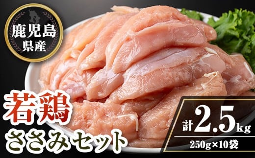 isa714 鹿児島県産若鶏ささみセット(計2.5kg・250g×10P) 鹿児島県産 国産 鶏肉 鳥肉 とり肉 ささみ ヘルシー ダイエット たんぱく質 タンパク質 小分け 真空 【TRINITY】 2316492 - 鹿児島県伊佐市
