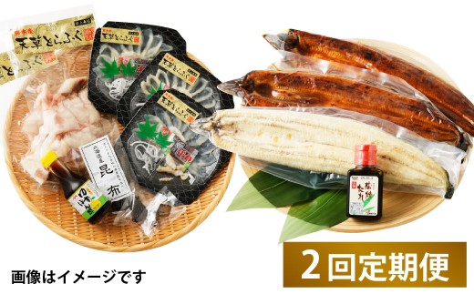 【2回定期便】【極】季節めぐり定期便3 ふぐ フグ 河豚 とらふぐ トラフグ てっさ てっちり うなぎ ウナギ 鰻 熊本県 上天草市 2297446 - 熊本県上天草市