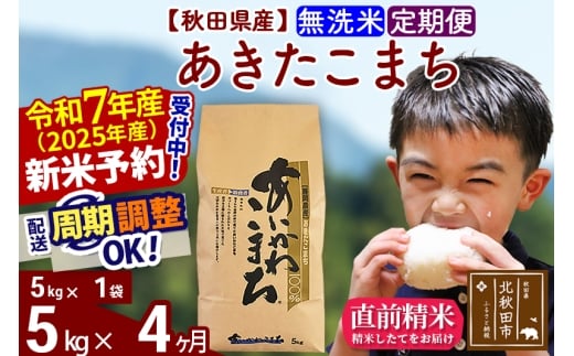 ※令和7年産 新米予約※《定期便4ヶ月》秋田県産 あきたこまち 5kg【無洗米】(5kg小分け袋) 2025年産 お届け時期選べる お届け周期調整可能 隔月に調整OK お米 藤岡農産