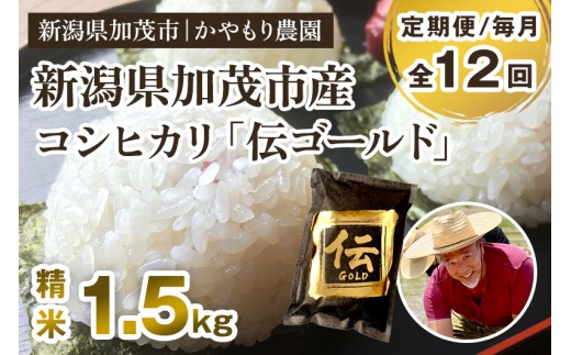 【令和7年産新米】【定期便12回毎月お届け】新潟産コシヒカリ「伝ゴールド」白米真空パック 精米1.5kg  《9月下旬から順次出荷》 南麻布の高級料亭で提供される極上米 かやもり農園 2296724 - 新潟県加茂市