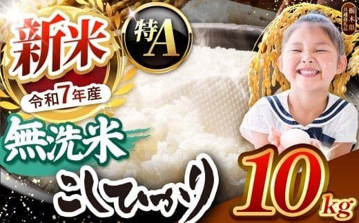 栃木県産コシヒカリ 無洗米 10kg 【栃木県共通返礼品】 | お米 米 こめ 洗米 新米 無洗米 コシヒカリ こしひかり 美味しい お弁当 選べる ふるさと 納税 栃木県 矢板市 2223077 - 栃木県矢板市