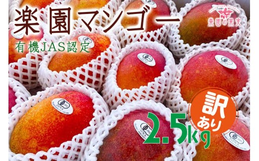 DQ021[先行予約]2026年発送 有機JAS認証マンゴー(アーウィン)わけあり 2.5kg[楽園の果実]