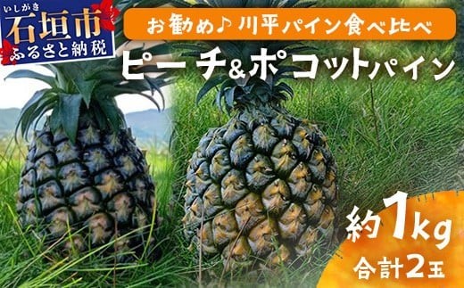 【先行予約】ピーチ＆ポコットパイン食べ比べ 1ｋｇ（計２玉）お勧め♪川平パイン《2026年5月～10月頃順次発送》KN-5 2009571 - 沖縄県石垣市