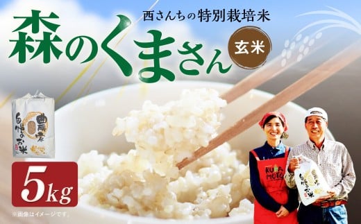 西さんちの特別栽培米 森のくまさん 玄米 5kg