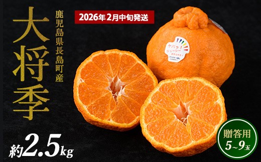 ながしまマンダリン王（不知火（紅））約５kg