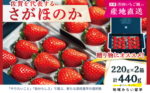 画像はイメージです。実際のお届けは440g(220g×2パック)。
