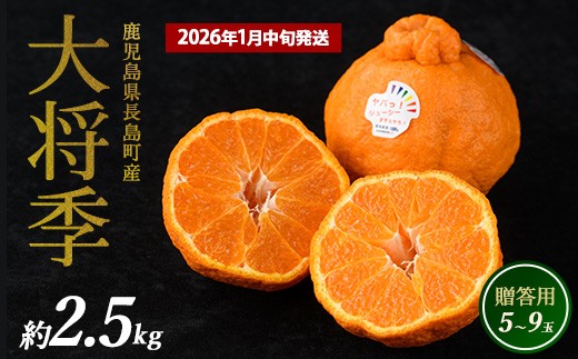 ながしまマンダリン王（不知火（紅））約５kg