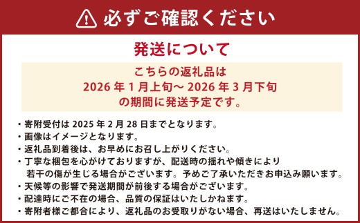 吉次 いちご 約700g (24~33粒) 