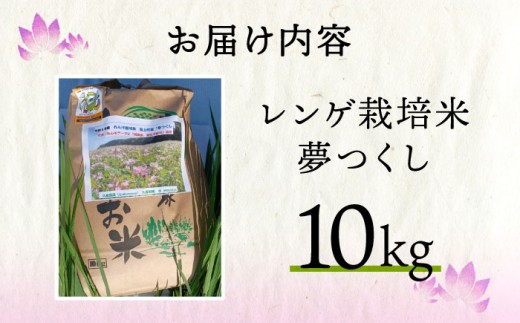 米 お米 こめ コメ ご飯 白米 夢つくし 10kg 国産 ギフト 贈り物 レンゲ栽培 県産米 減農薬 エコ 農産物 久楽農園