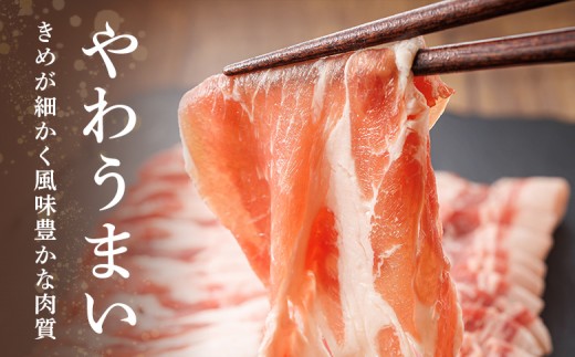 ルスツ豚詰め合わせ　約1kg