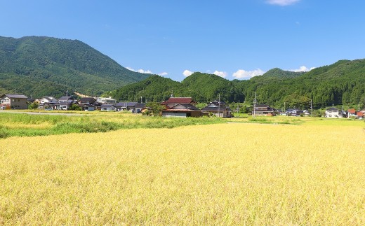 【減農薬・減化学肥料】木村義昭さんの発芽玄米（3合×6袋）