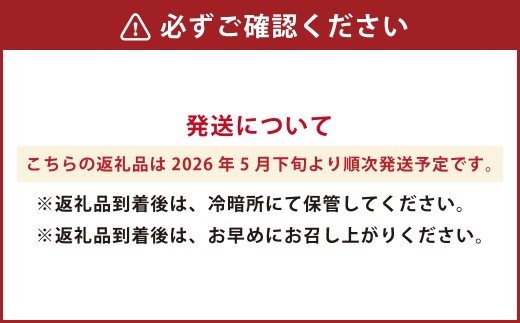 熊本産 スイカ L玉 1玉 6～7キロ