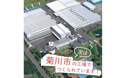 パンチレスファイル A4 12色 アソート (コピー用紙160枚収容) 各色1冊 計12冊