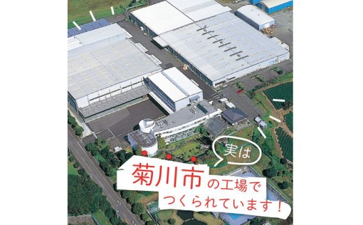 クリヤーケース A4サイズ 2色 アソート (藍色・赤色) 各色5枚 計10枚