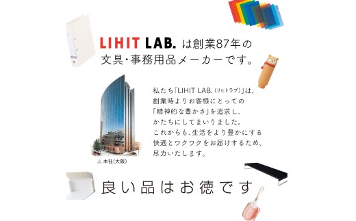 クリヤーケース A4サイズ 2色 アソート (藍色・赤色) 各色5枚 計10枚