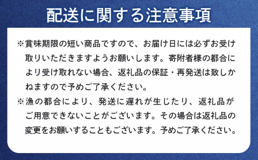 《2026年先行予約！》北海道産 塩水ウニ 100g 【6月上旬〜8月中旬発送予定】