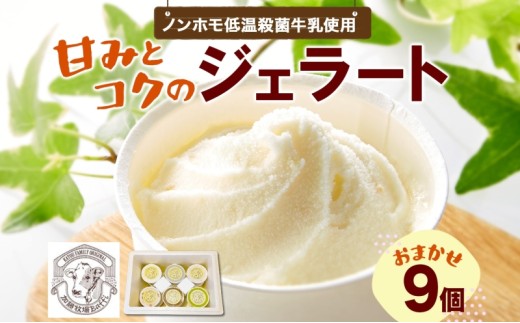[№5712-0577]【加藤牧場】 ノンホモ低温殺菌牛乳使用 ジェラート 9個入り アイス 氷 夏 暑い 猛暑 フレーバー 濃厚 さっぱり 人気 ご当地 スイーツ お菓子 食後 デザート 氷菓 牛乳 さっぱり コク お取り寄せ 加藤牧場 埼玉県 日高市 704668 - 埼玉県日高市