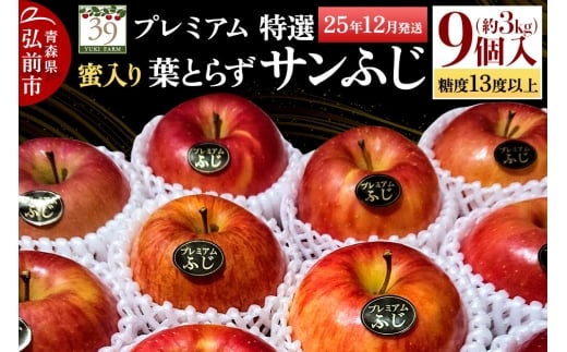 【25年12月発送】りんご 【 数量限定 】糖度13度以上 「特選」 プレミアム 蜜入り 葉とらずサンふじ 約 3kg 9個入り【レビューキャンペーン】