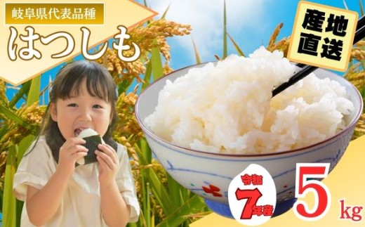 【岐阜県代表品種】令和7年産ハツシモ米 【白米】5kg M8【12月以降順次発送】 916735 - 岐阜県関市