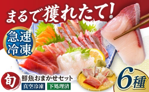 超速冷凍鮮魚6種（5種+焼物用1種） 五島市/金沢鮮魚 魚  鮮魚 鮮魚ボックス [PEP064] 2261679 - 長崎県五島市